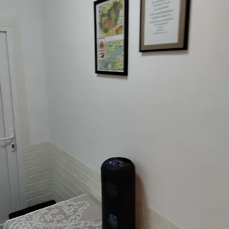 度假居 Aliz Es Martin Vendeghaz *